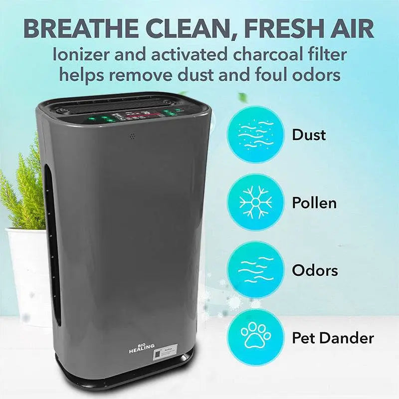 Air purifier for dust removal