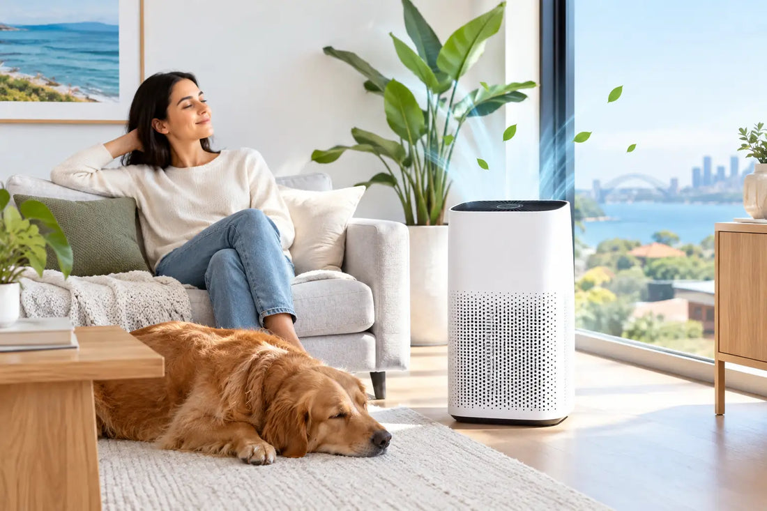 Can Air Cleaners Remove Odours? What Works