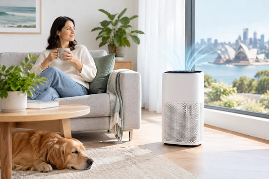 A Guide to Purifier CADR Ratings for Your Home