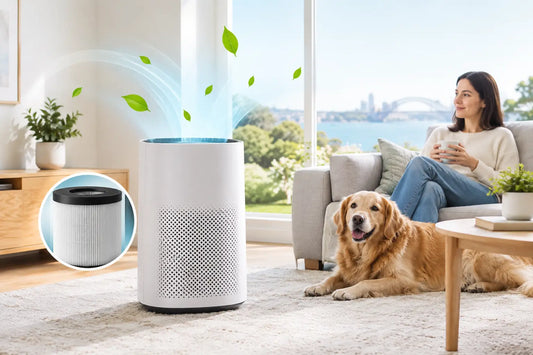 H13 HEPA Filter Benefits for a Healthier Home