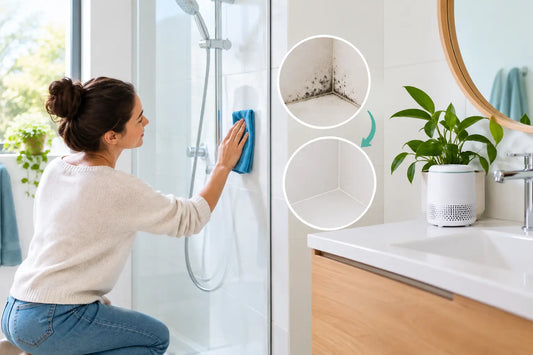 Bathroom Mould: How to Stop It Coming Back