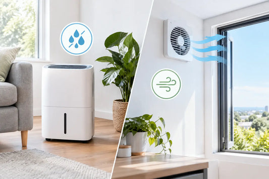 Dehumidifier vs Ventilation for Damp Homes