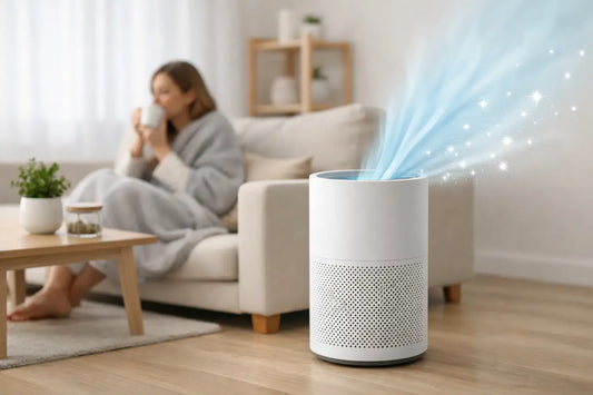 Choosing an Air Purifier for Mould Spores