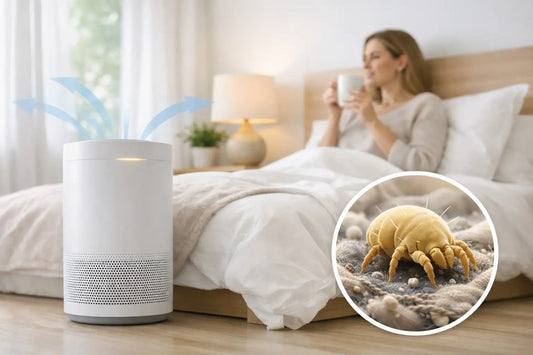 Can an Air Purifier for Dust Mites Help at Home?
