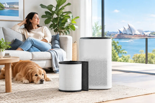 True HEPA Filter Buying Guide for Australian Homes