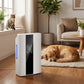 2.2 L Portable Dehumidifier + Photocatalyst Purifier